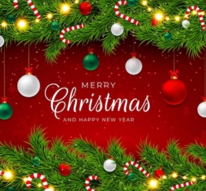 Merry Christmas - Courts closed