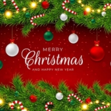 Merry Christmas - Courts closed